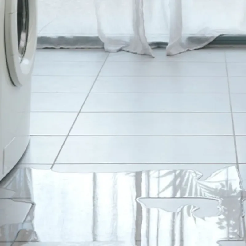 Appliance Leak Cleanup in Sierra County, CA
