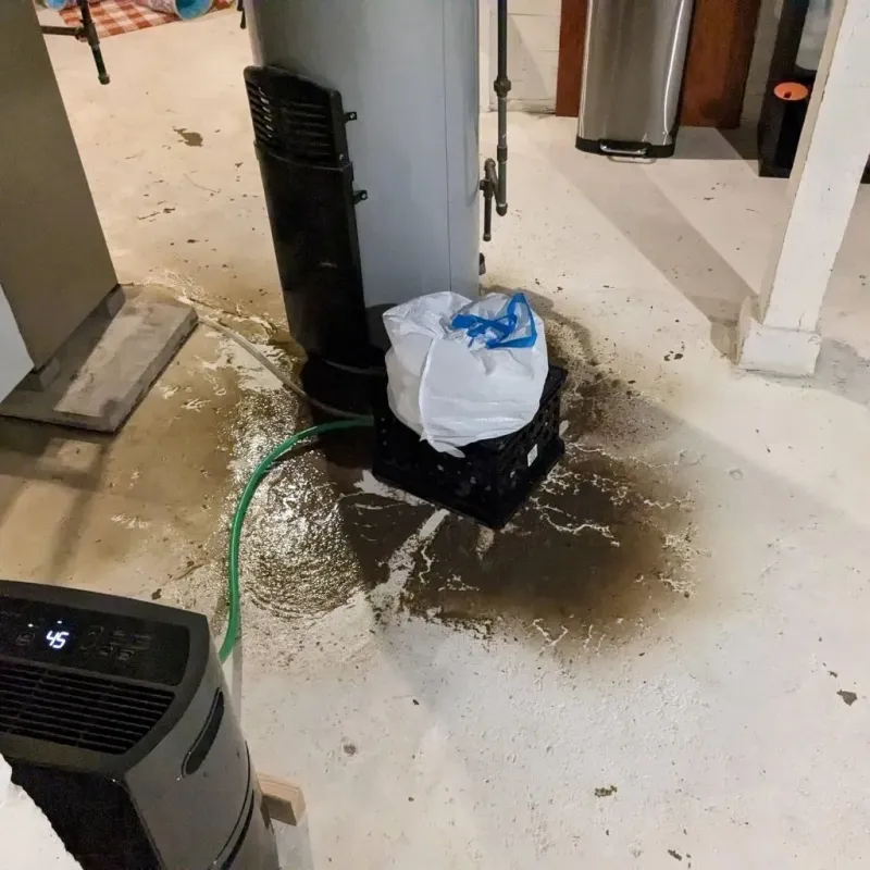 Sewage Backup Cleanup Service in Sierra County, CA